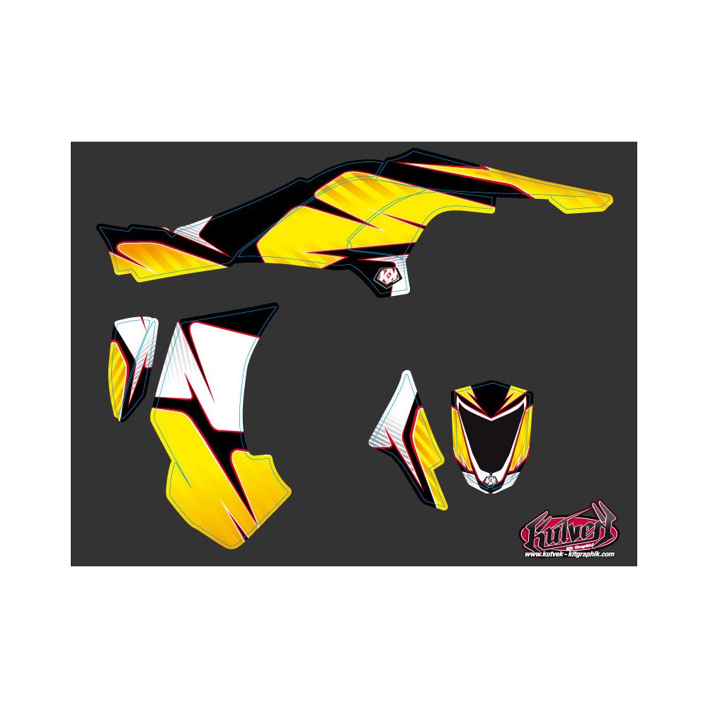 Kit Déco Quad Factory Can Am DS 450 (2008-2015)