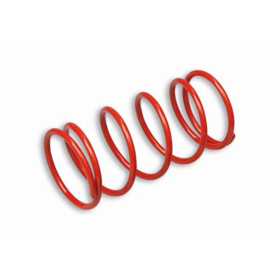 Ressort de Poussée - Pour Variateur Multivar 2000 et Variateur d'Orig