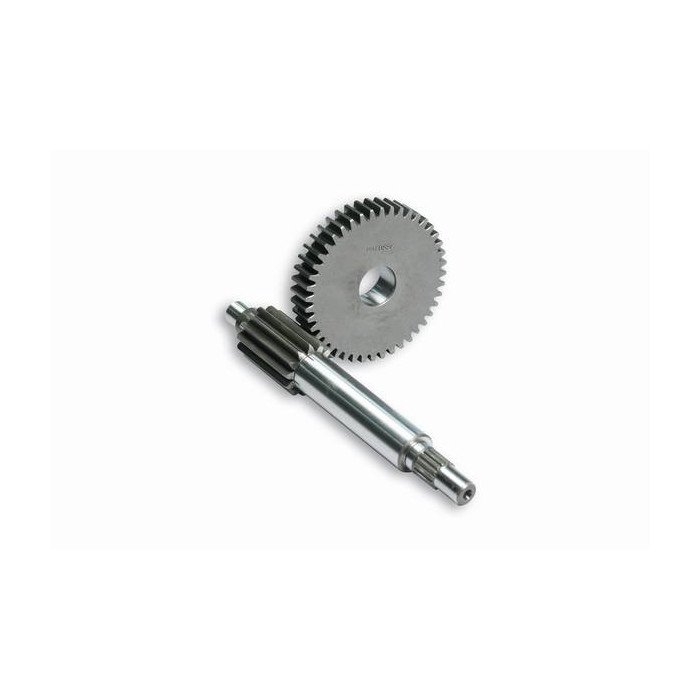 Engrenages Primaires - HTQ Denture 13/44