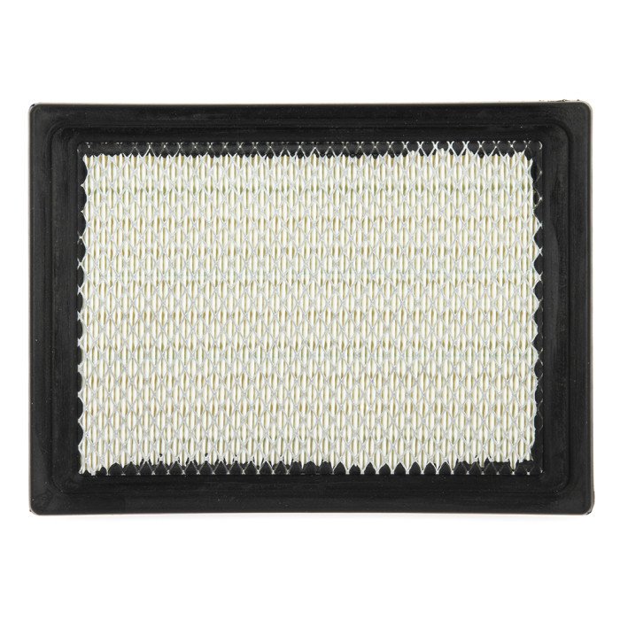 Filtre à Air Polaris