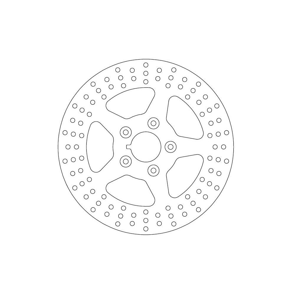 Disque de Frein Fixe HARLEY DAVIDSON - Homologué TÜV