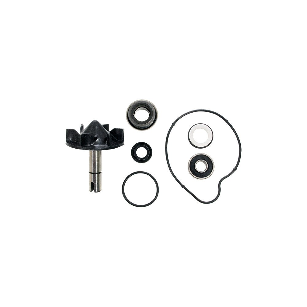Kit Pompe à Eau Tmax 530 2012-2016