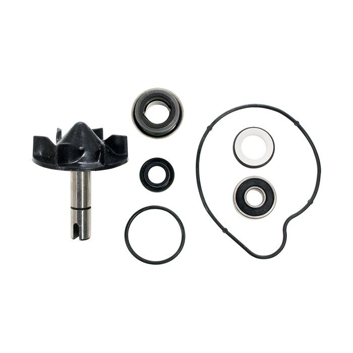 Kit Pompe à Eau Tmax 530 2012-2016