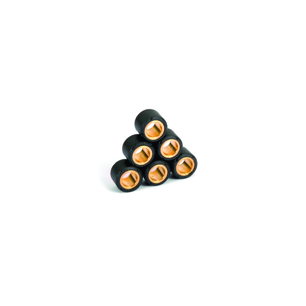 Kit Galets de Variateur x6 Ø19x15.5 - 6g
