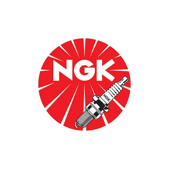 Capuchon Antiparasite