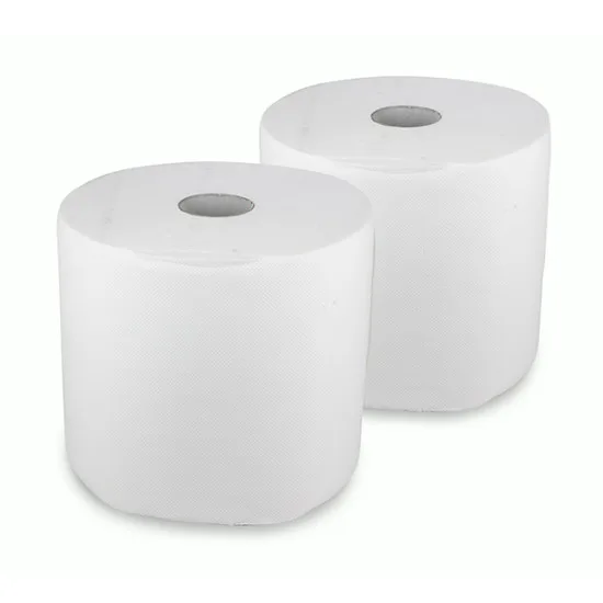 Rouleau d'Essuie Tout Micro Gaufré 2 Plis - Blanc(Sachet de 2pcs)